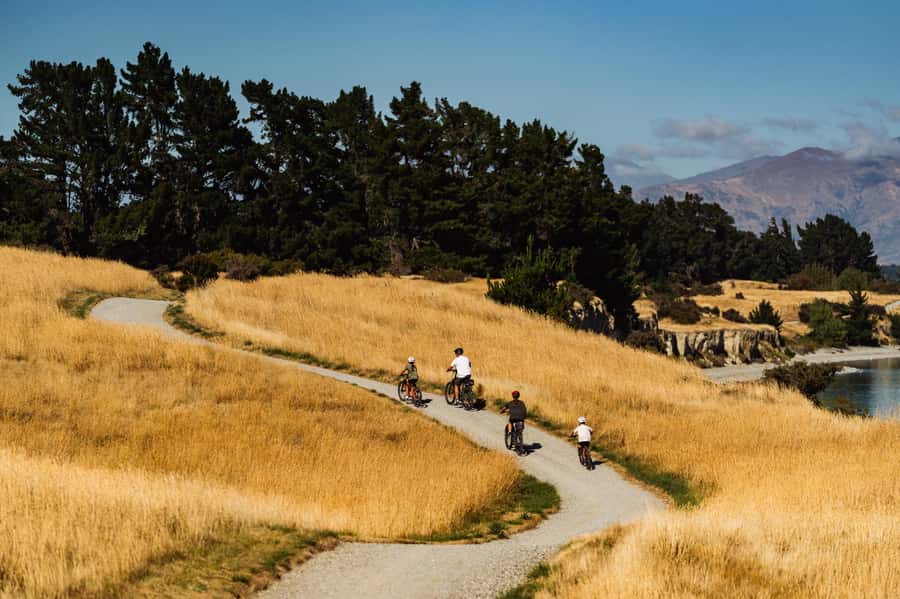 Wānaka: Gladstone Track and Wanaka Trails on Bike or eBike - Finishing at #thatwanakatree