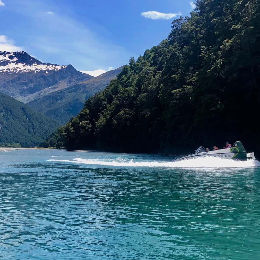 Wanaka: Jet Boat & Wilderness Walk - The 50-minute forest walk