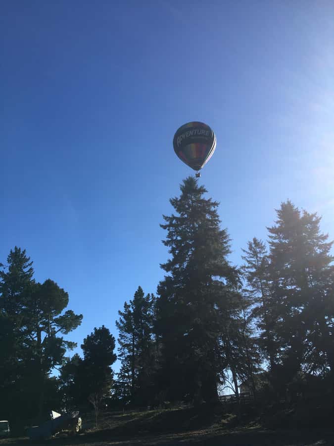 Wanaka: Scenic Hot Air Balloon Flight - Who should book this flight?
