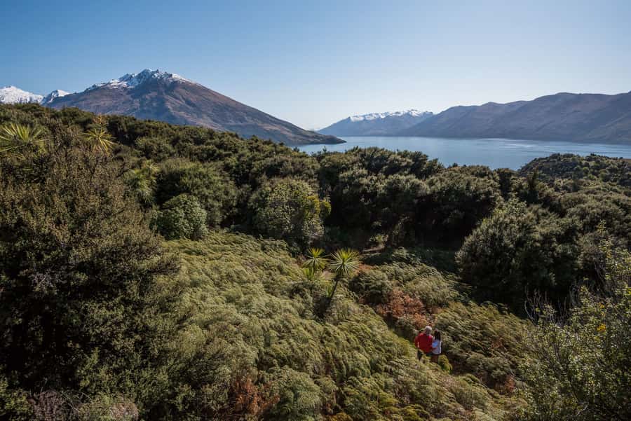 Wanaka: Water Taxi & Mou Waho Island Tour - Arriving on remote Mou Waho Island