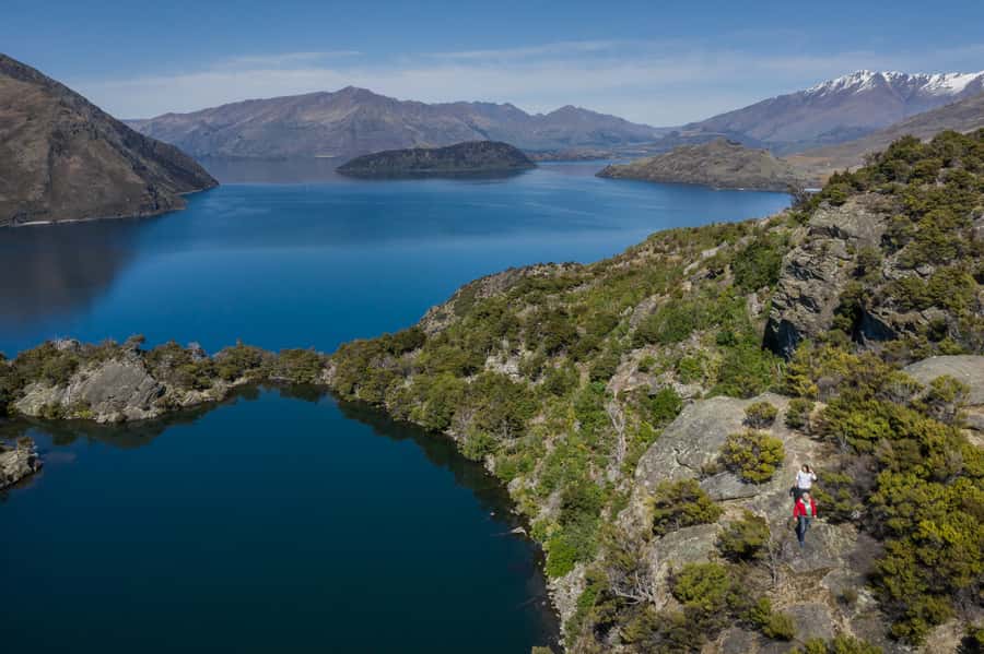Wanaka: Water Taxi & Mou Waho Island Tour - Wekas, bellbirds, and a predator-free reserve