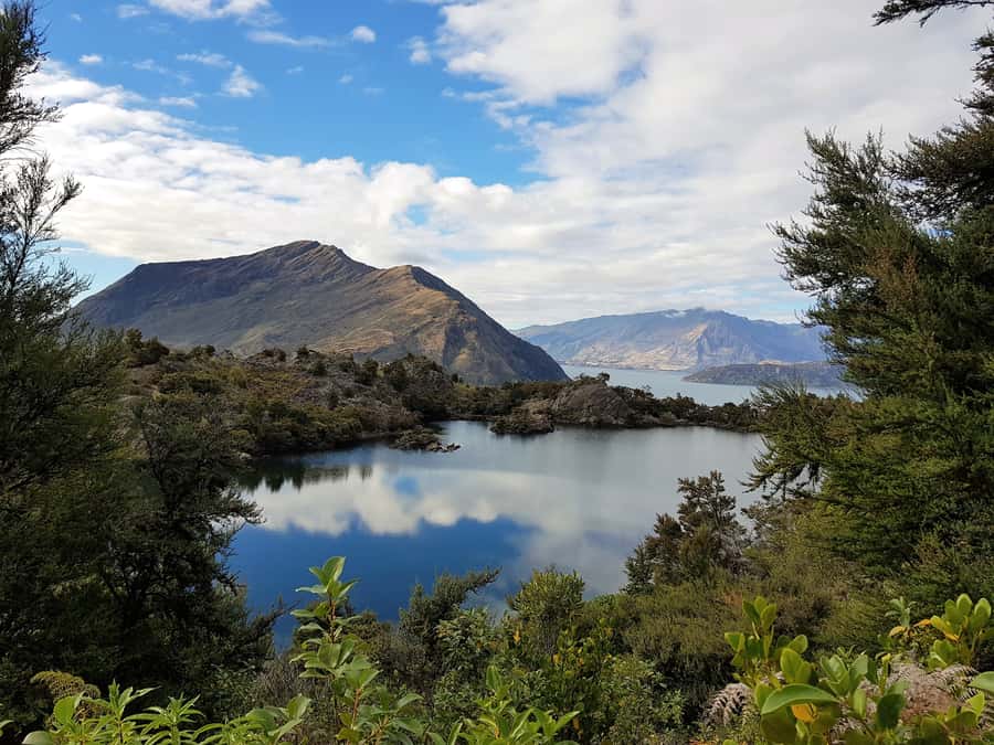 Wanaka: Water Taxi & Mou Waho Island Tour - Who will enjoy Mou Waho most?