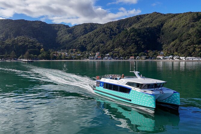 Wellington 90 minute Harbour Cruise - Why the electric Ika Rere changes the cruise