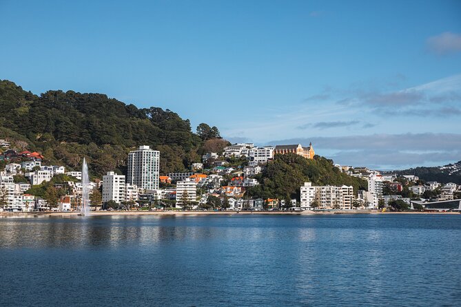 Wellington 90 minute Harbour Cruise - The commentary: Wellington’s capital, harbour, and natural setting