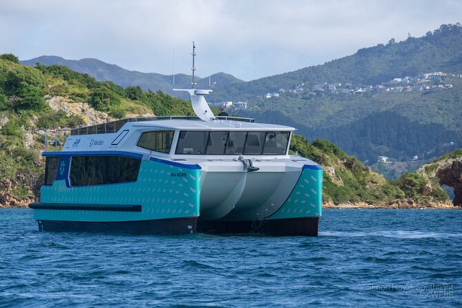 Wellington 90 minute Harbour Cruise - How the cruise fits into a Wellington visit