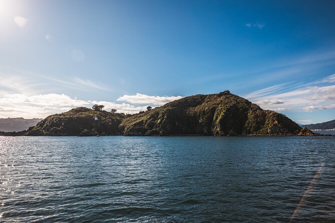 Wellington 90 minute Harbour Cruise - Meeting at Queens Wharf and managing the practical details