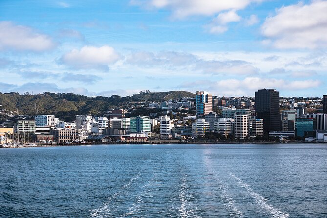 Wellington 90 minute Harbour Cruise - Who will get the most from Ika Rere