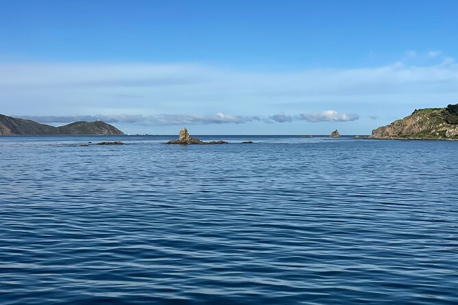 Wellington 90 minute Harbour Cruise - Should you book this Wellington Harbour cruise?