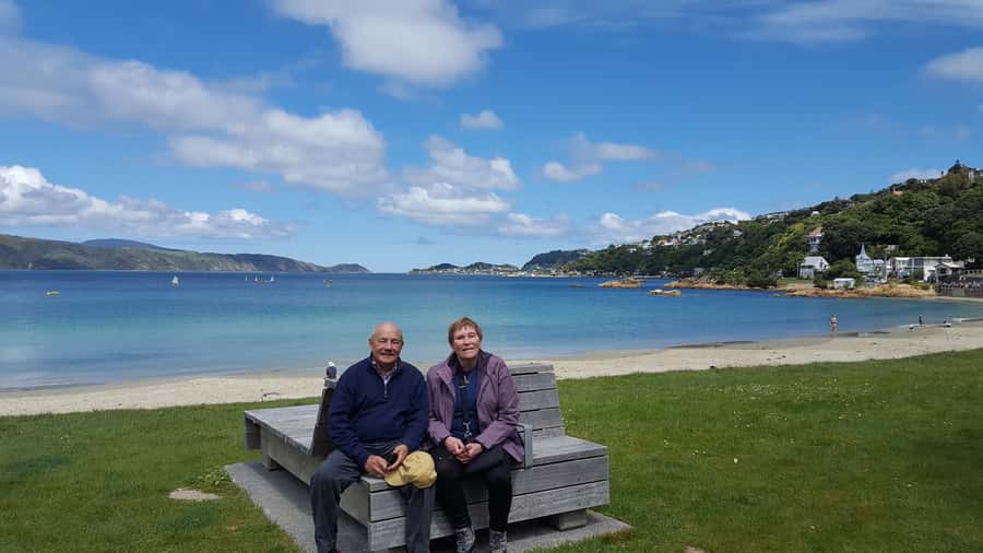 Wellington: Cave to Coast Highlights Guided Tour - How the $124 price works out