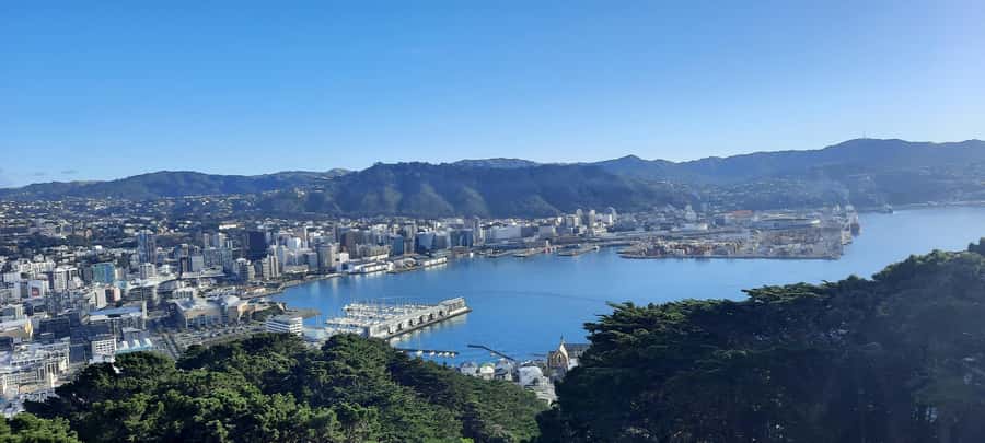 Wellington: Cave to Coast Highlights Guided Tour - Mt Victoria gives you Wellington in one glance