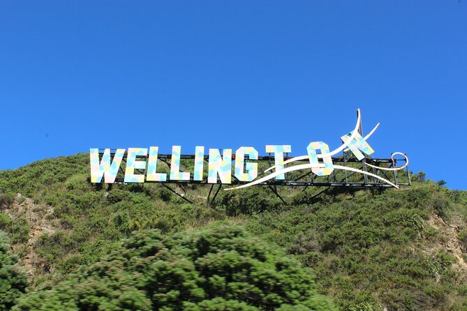 Wellington City and Sea: Private Tour in Electric Tesla SUV - Why a Tesla is useful in hilly Wellington