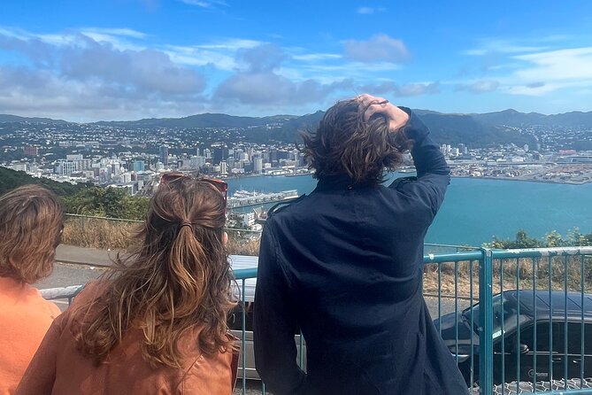 Wellington City and Sea: Private Tour in Electric Tesla SUV - The 360-degree view from Mount Victoria