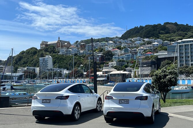 Wellington City and Sea: Private Tour in Electric Tesla SUV - Lunch at Scorching Bay