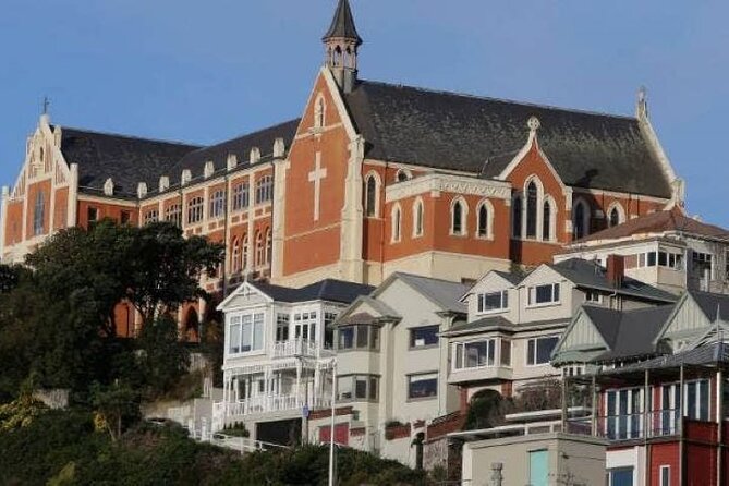 Wellington city heights sightseeing Private 5 hour tour - Weta Cave for photos, not a full studio tour