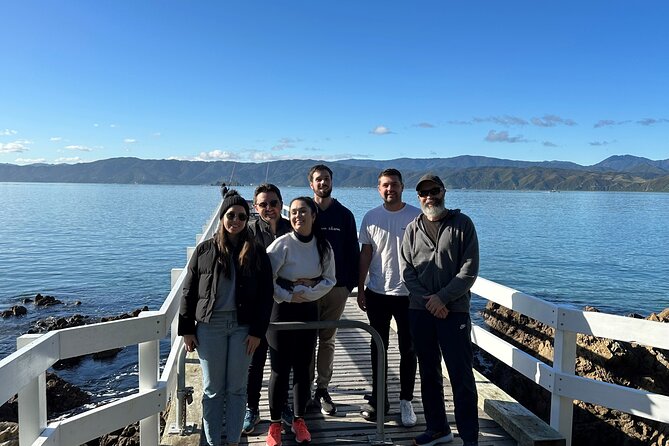 Wellington city heights sightseeing Private 5 hour tour - Mount Victoria and Wellington’s best city view