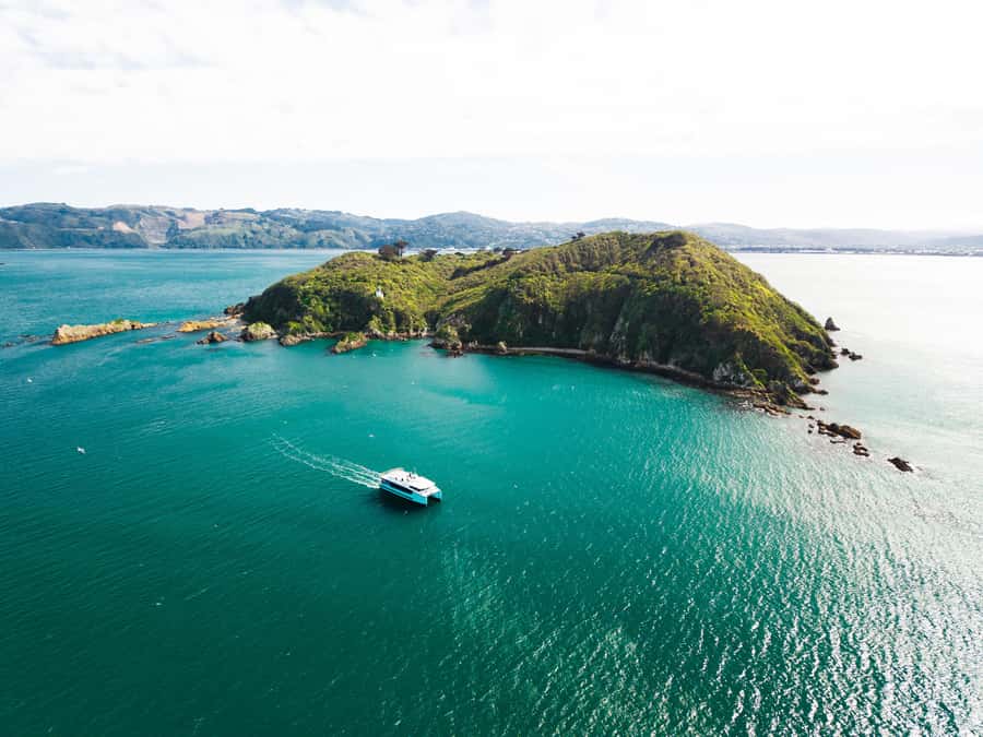 Wellington: Commentated Harbour Explorer tour - Following Wellington Harbour for 90 minutes