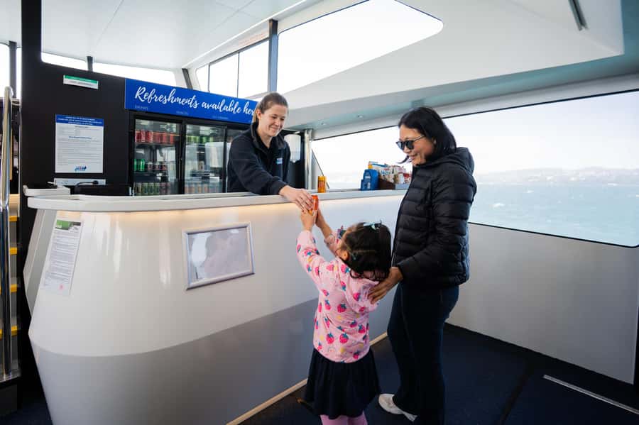 Wellington: Commentated Harbour Explorer tour - Scenic value and the changing route