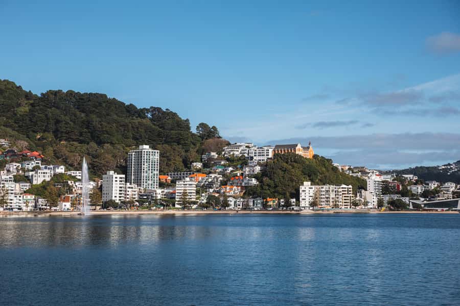Wellington: Commentated Harbour Explorer tour - The crew’s practical touch