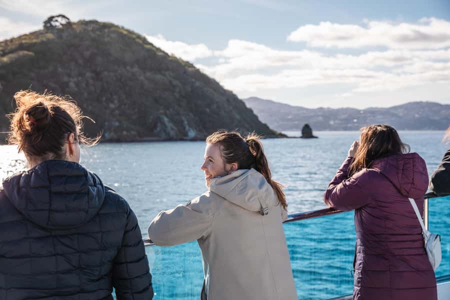 Wellington: Commentated Harbour Explorer tour - Is $41 good value?
