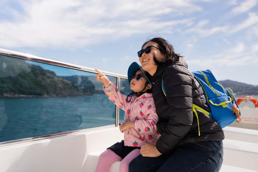 Wellington: Commentated Harbour Explorer tour - Booking tips for a smoother outing