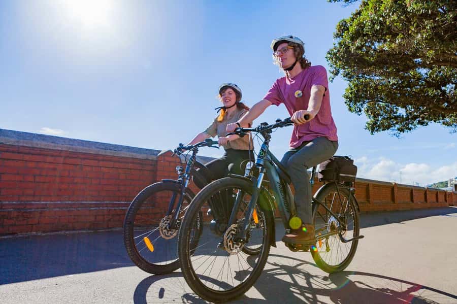 Wellington: Easy Rider Guided eBike Tour - Cruising the coast and Oriental Bay