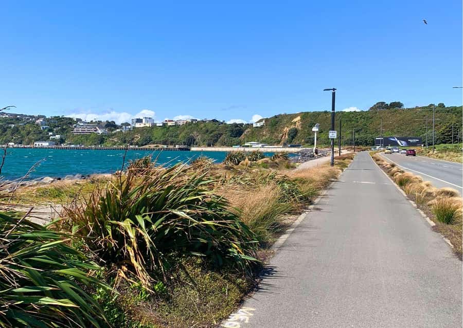 Wellington Electric Bike Rental - Pencarrow Lighthouse is a full adventure