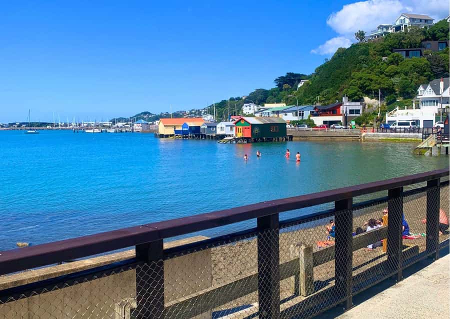Wellington Electric Bike Rental - Price, timing, and the real value