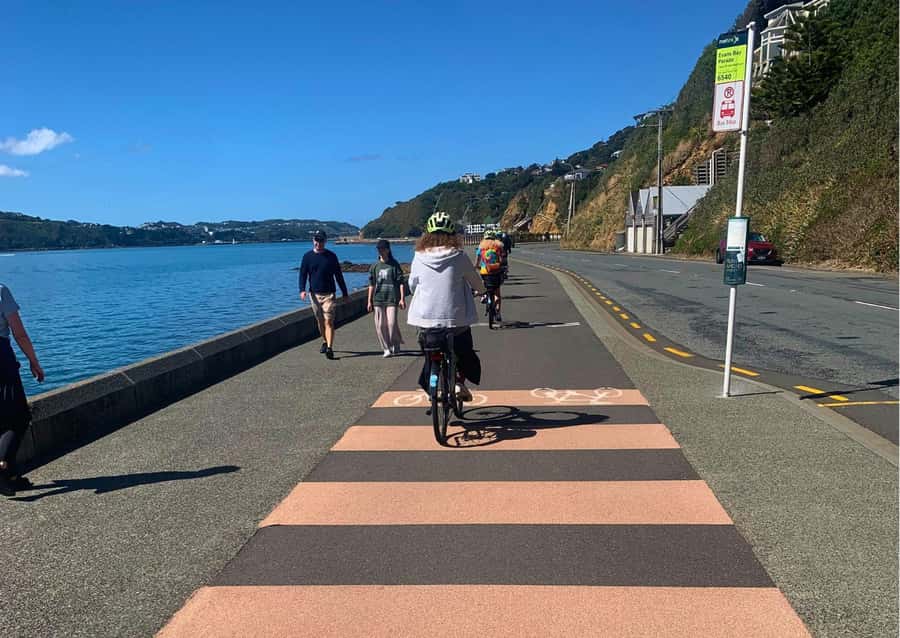 Wellington: Electric Bike Rental - Timing your four to nine hours