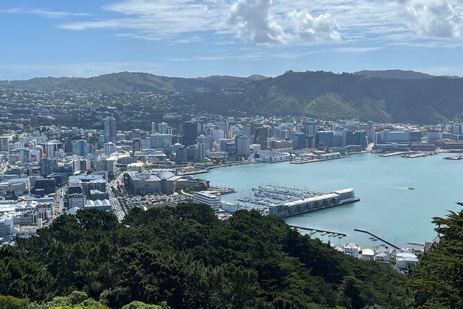 Wellington Full Day Private Tour in Electric Tesla SUV - Why a private Tesla works well in Wellington