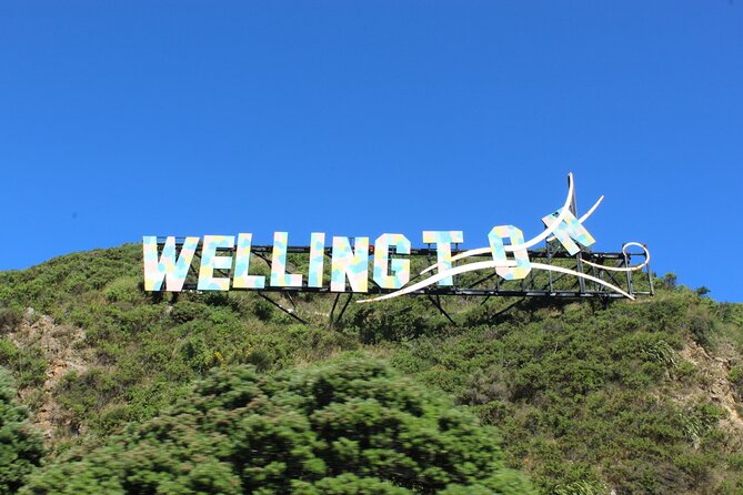 Wellington Full Day Private Tour in Electric Tesla SUV - Parliament, Kelburn, and Old St. Paul’s