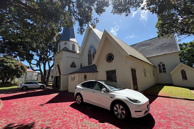 Wellington Full Day Private Tour in Electric Tesla SUV - Lunch beside Scorching Bay
