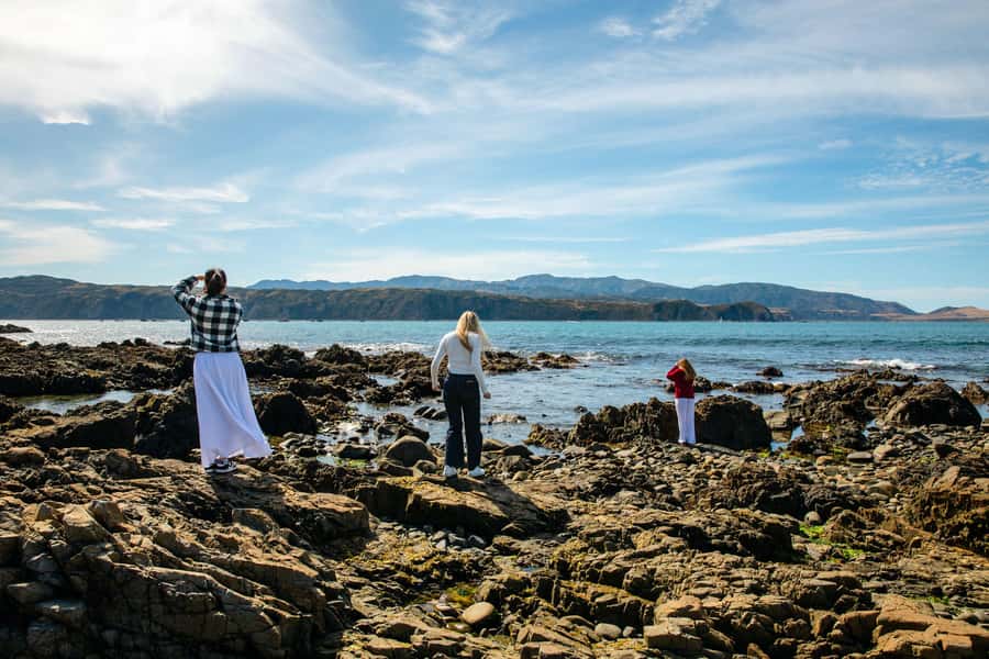 Wellington: Guided City Tour with Cable Car Ticket - Why this route works for a first look at Wellington