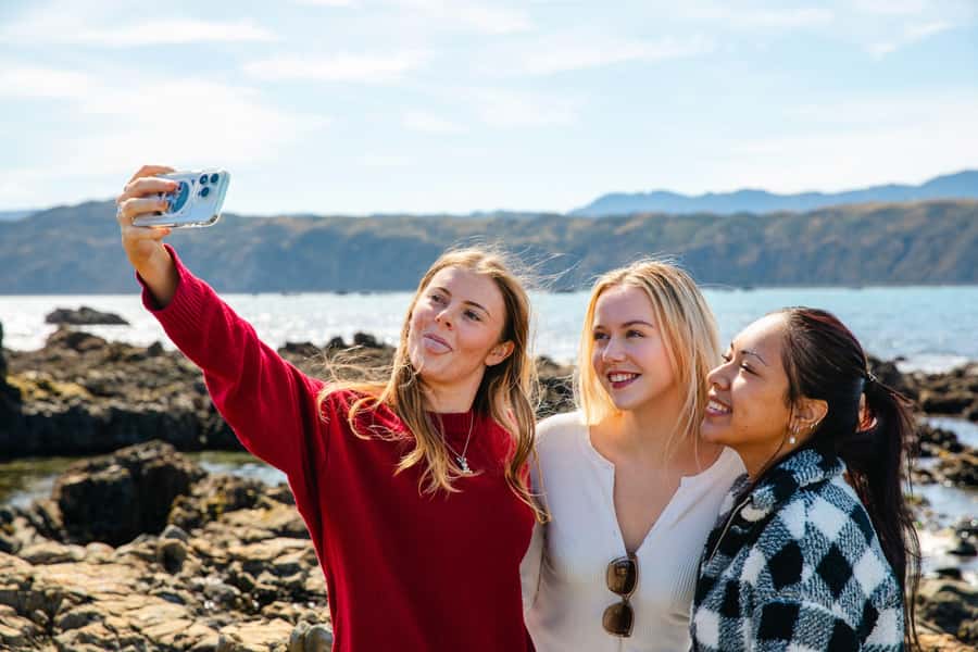 Wellington: Guided City Tour with Cable Car Ticket - Courtenay Place, Cuba Street, and the city’s everyday culture