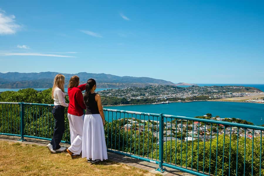 Wellington: Guided City Tour with Cable Car Ticket - The Cable Car is short, but the lookout adds value