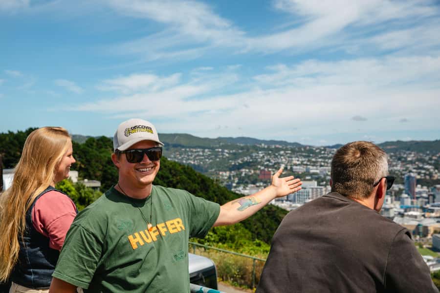 Wellington: Guided City Tour with Cable Car Ticket - Pickup, timing, and practical details