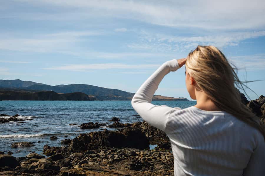 Wellington: Guided City Tour with Cable Car Ticket - Miramar, film connections, and Wellington’s birdlife