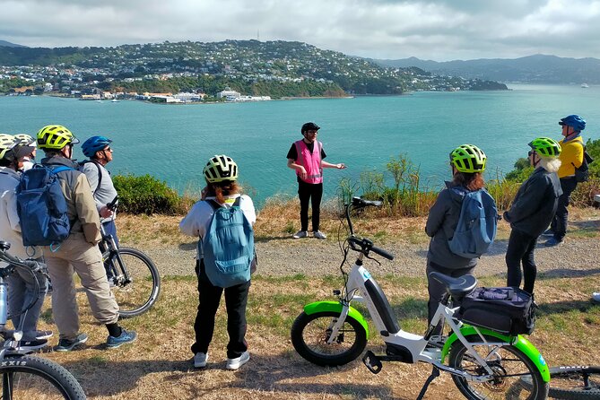 Wellington Guided eBike Tour-Cruise Shore Excursion - Key points to know before you book