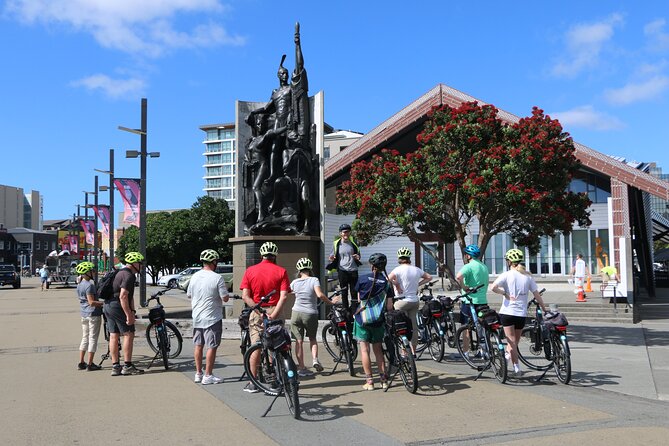 Wellington Guided eBike Tour-Cruise Shore Excursion - Why an e-bike is a smart choice in Wellington