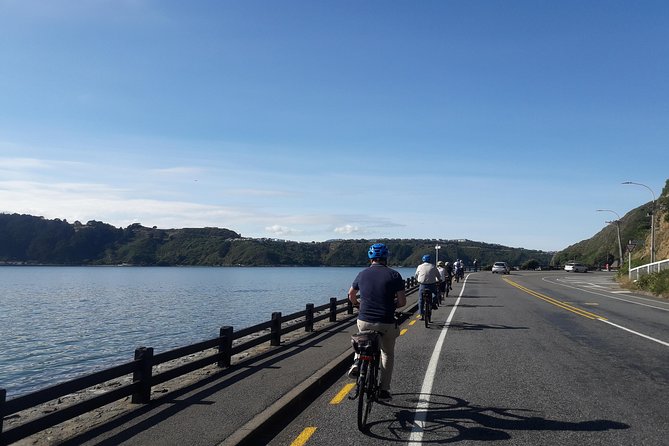 Wellington Guided eBike Tour-Cruise Shore Excursion - The climb to Maupuia Hill