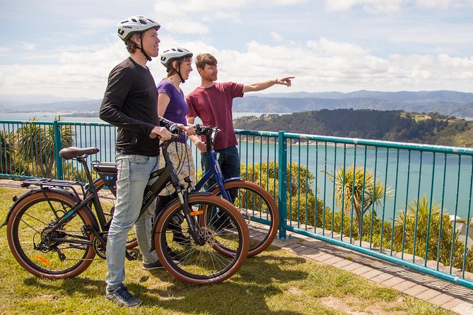 Wellington Guided eBike Tour-Cruise Shore Excursion - Starting beside Chaffers Dock Marina