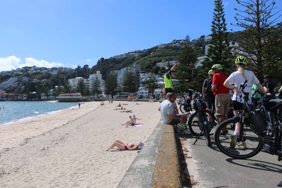 Wellington: Guided Sightseeing Tour by Electric Bike - Key points to know before booking