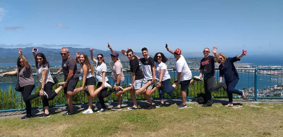 Wellington: Half-Day City Highlights Tour and Cable Car Ride - Mount Victoria delivers the first big view