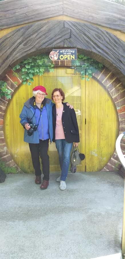 Wellington: Half-Day Lord of the Rings Locations Tour - Hobbiton Woods and the famous forest scenes