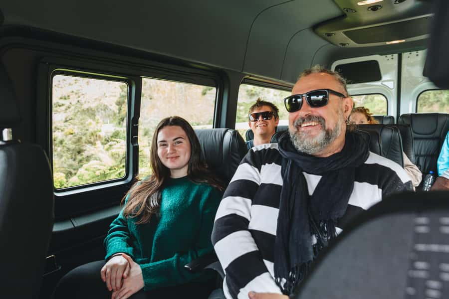 Wellington: Half Day Seal Coast Safari - Key points to know before booking