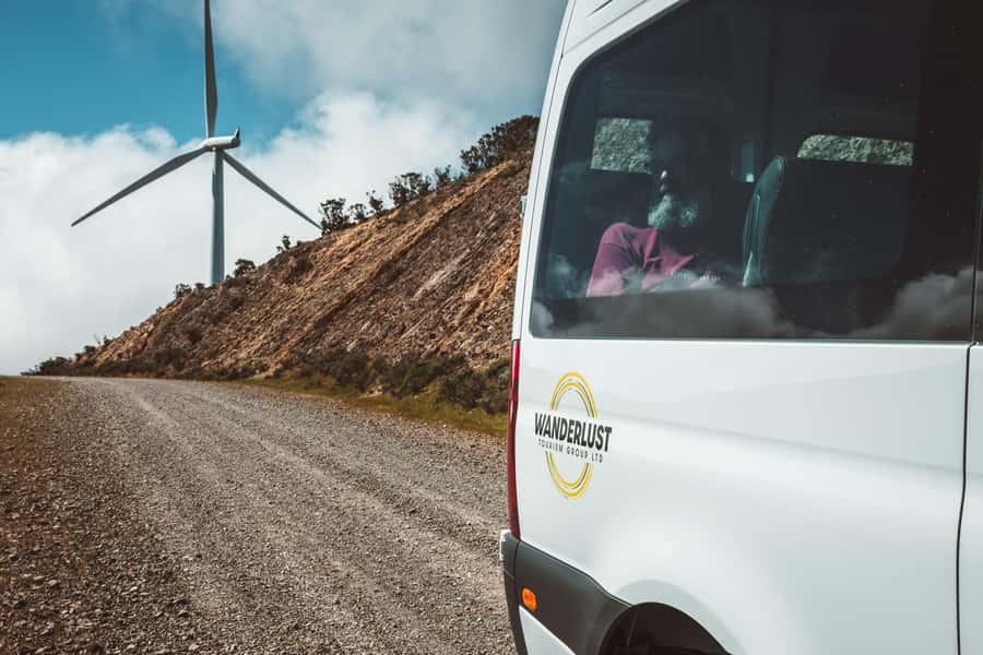 Wellington: Half Day Seal Coast Safari - Who should book the Seal Coast Safari?
