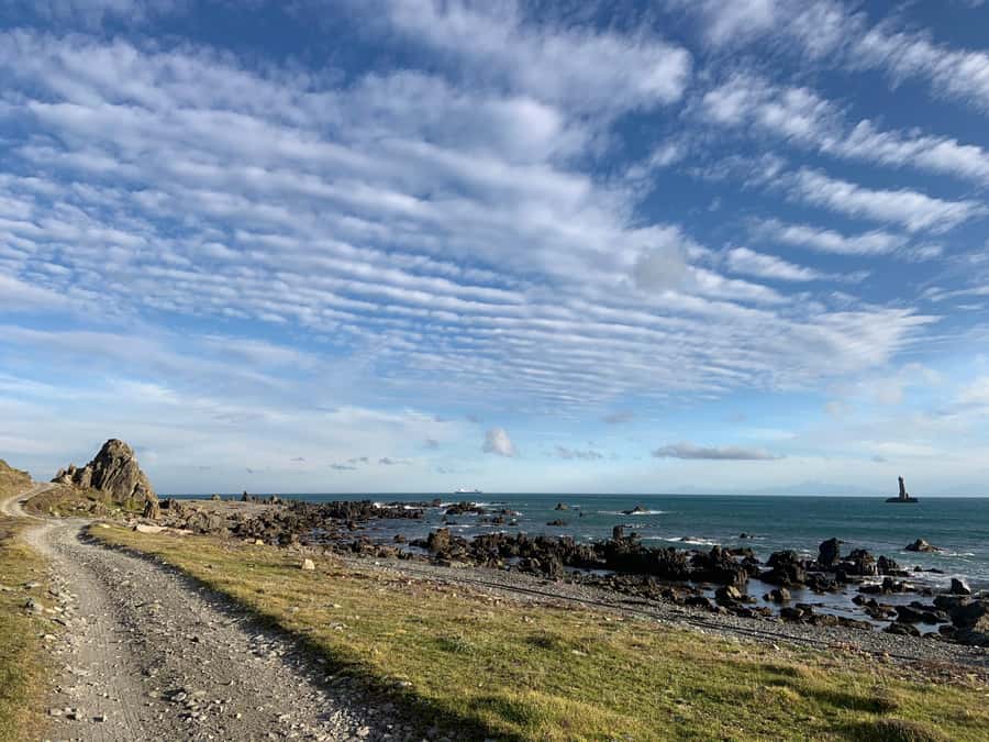 Wellington: Half Day Seal Coast Safari - The leaning lighthouse and the final coastal track