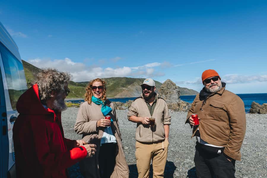 Wellington: Half Day Seal Coast Safari - Is $116 good value?