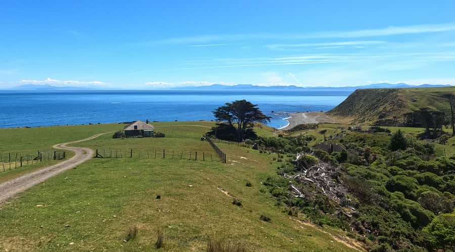 Wellington: Half Day Seal Coast Safari - Pickup, clothing, and practical details
