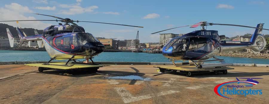 Wellington Helicopter Scenic Flight - A nine-minute view of Wellington’s CBD