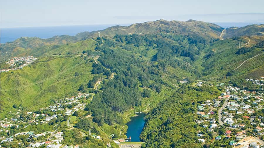 Wellington Helicopters Scenic Harbour Flight - What the 15-minute length really means